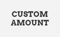 Custom Amount